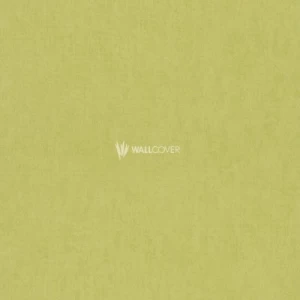 Youth and Children Wall Decoration Pale Green, 10m x 0.53m | Balbaid Decor Company