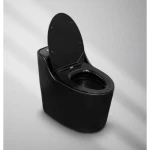 Floor Mounted Toilet Black Color, Height 40 cm