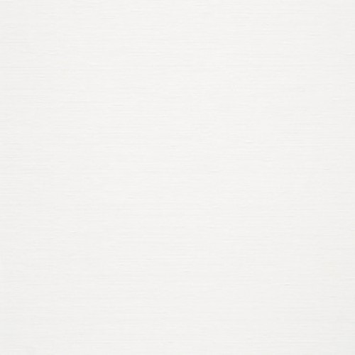 Dutch Plain Wall Covering 10m x 0.53m, White Color | Balbaid Decor Company