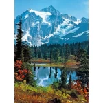 Wall mural for decoration forests design, Size 183 cm × 254 cm, green color