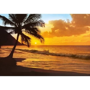 Wall Mural Sea Design 366cm × 254cm Yellow | Balbaid Decor Company