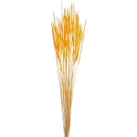 Artificial lagurus grass, orange color, 70 cm