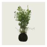 Artificial Decorative Plant, 50 cm Height, width 20 cm, green color