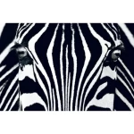 Mural image youth design, Size 175 cm × 115 cm, black and white color