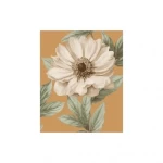 American wallpaper floral design 10 m x 0.53 m, beige, model ht70005 