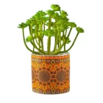 زرع صناعى مالفا، الوان متعددة، ابعاد 18×12 سم