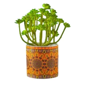 Artificial Malva Plant 18x12 cm, Multi Colors | 
