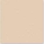 Porcelain Floor Tiles Thickness 12 mm, Dimensions 30x30 cm, Beige Color, Compact Model | Future Ceramic Company