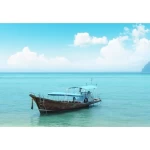 Wall mural for decor sea design, Size 366cm × 254 cm, blue color