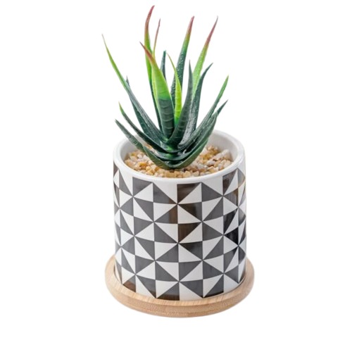 Artificial Plant Dovia Green Color, Height 16 cm, Width 9 cm | 