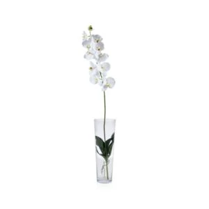 Artificial Phalaenopsis Flower 117 cm Height, White Color | 