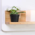 Transparent Table Lamp with Wooden Base, 30 cm Width, 15 cm Height