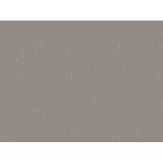 ورق جداري سادة لون بيج داكن، طول 10 م، عرض 0.53 م، رقم الموديل 221422