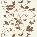 Sino Wallpaper Design, Dimensions 5m², Blended Colors, Product Code 5740-14