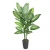 نبتة صناعية، أخضر، طول 65 سم 