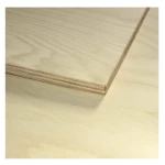 خشب ابلكاش قشره اش   المقاس 3.6 مم × 90 × 214 سم 