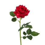 ورد صناعى روز، لون احمر، مقاس 63 سم