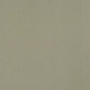 Dutch Plain Wall Decoration 10m x 0.53m, Green Color | Balbaid Decor Company