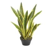  نبات صبار صناعي جلد النمر، أبعاد 75 سم، لون أصفر 