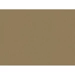 Dutch Plain Wallpaper Size 10m x 0.53m, Dark Beige Color, Model Number 221427