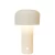 Rechargeable LED Table Lamp, 21 cm Length, 12 cm Width, White Color