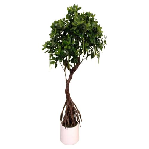 Decorative Artificial Tree Plant 12x11.5 cm, Green Color | Luxury line