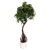 Decorative Artificial Tree Plant, Green Color 