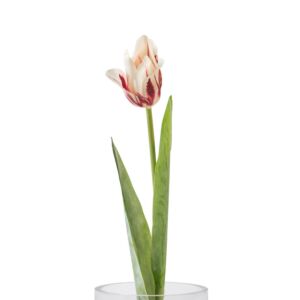 Artificial Tulip Flower 61 cm, Red Color | 