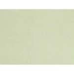 Plain wall covering, light green color, length 10 m, width 0.53 m, model number 48463