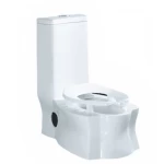 Eastern Toilet the for the elderly