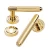 Separated Doors Handles Gold Color