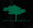 شركه ازده السعوديه