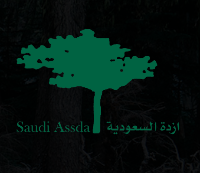 شركه ازده السعوديه