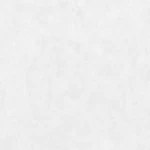 Alimante Very Light Grey Porcelain, Indoor Flooring, 10 mm Thickness, Size 30×60 cm, Square Shape