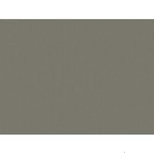 ورق حائط سادة هولندي مقاس 10m × 0.53m، لون بيج داكن | شركة بالبيد للديكور
