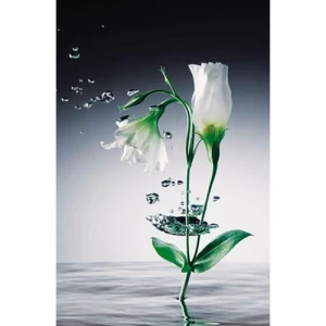 صورة جدراية تصميم ورود، المقاس 175سم ×115 سم، لون ابيض | شركة بالبيد للديكور