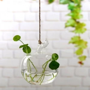 Hanging Plant Holder with Light, Elegant, 12 cm Height, 11 cm Width | Matkel Store