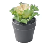 نبات صناعي كوكوس - لون أسود وأصفر وأخضر، مقاس 12×7 سم