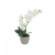 Artificial Orchids With pot, Size 33x18x53 cm, white color