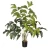 نبتة صناعية، مقاس 80×35 سم، لون اخضر