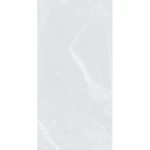 بلاط ارضيات بورسلان رمادي 60×120 سم سمك 11 مم |  شركة اكسا