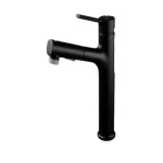 Multi-Purpose Sink Mixer, Matte Black Color, Height 29.4 cm, Depth 15.6 cm, Diameter 5.2 cm
