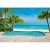 Wall mural for decor tropical design, Size 366cm × 254 cm, blue color