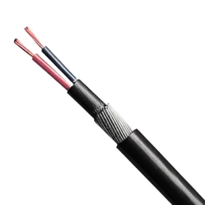 BAHRA 16mm Two Core 0.6/1kV Armored Electric Cable CU/PVC/SWA/PVC, Stranded Copper, 1000 M | Bahra Cables