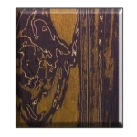 ديكور مقصورة مصعد، الوان متداخلة أنيقة، تصميم حديث