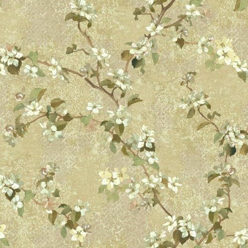 American Wallpaper Floral Design Beige Color, Size 10mx0.53m, Model TB4220 | Balbaid Decor Company