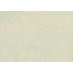 Italian Wallpaper Pale Green Color Patterned Design, Size 10mx0.73m, Model 81124