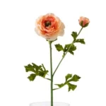  زهور صناعية رانينكلوس، مقاس 63 سم، لون برتقالى 