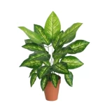 شجيرة كالنديولا صناعية، طول 45 سم، لون أخضر 