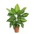 شجيرة كالنديولا صناعية، طول 45 سم، لون أخضر 